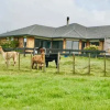 Отель YiFan Lake View Manor In Rotorua, фото 5