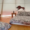 Отель Doolin Glamping, фото 7