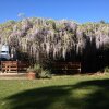 Отель Main Lodge, фото 8