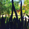 Отель Gili Spoy - Spoy Homestay, фото 6