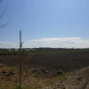 Отель Agriturismo Le Querci, фото 7
