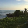 Отель Exotica Bali Bed and Breakfast, фото 6