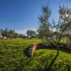 Отель Casale il Colle, фото 8