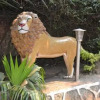 Отель Dian Fossey Nyiramacibir Hotel, фото 31