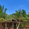 Отель Mangrove Beach Chalets, фото 6