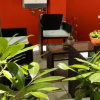 Отель B&B Il Giardino delle Camelie, фото 17