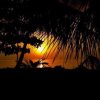 Отель Local Adventure at Dhiffushi, фото 9