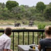 Отель Umkumbe Safari Lodge, фото 12
