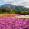 Отель Dai-ichi Hotel Chichibu, фото 13