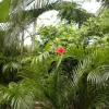 Отель Cabinas Cada Luna, фото 7