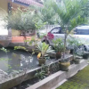 Отель Ijen Transit Homestay, фото 12
