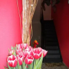 Отель B&B Rêver d'Art, фото 11
