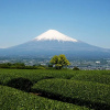 Отель Tomioka-ya, фото 9