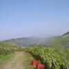Отель Weingut Matthias Dauns, фото 6