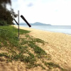 Отель Baan Mai Khao at Mai Khao Beach Phuket, фото 5