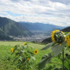 Отель Haflingerhof, фото 7