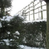 Отель B&b Greenhouse 37, фото 11