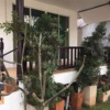 Отель Thai House Beach Resort, фото 10