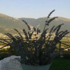 Отель B&B Fonte Cugno, фото 7