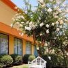 Отель Americas Best Value Inn & Suites - Homewood / Birmingham, фото 14