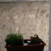 Отель Guest House Miro, фото 10