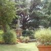 Отель Villa Cini, фото 4