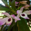 Отель Posada del Angú, фото 11