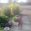 Отель Atlantic View Bed & Breakfast, фото 7