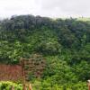 Отель Tre Homestay, фото 10