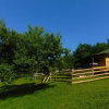 Отель Forest Lodge on the Pyramid, фото 5