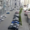 Отель Black Sea Subtropic City, фото 12