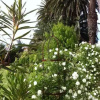Отель Sauvignon Country Lodge, фото 5