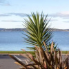 Отель Beachfront Apartment Blackmans Bay, фото 10