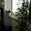 Отель White Lady Bed and Breakfast, фото 2
