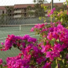 Отель Maui Vista 1322 - 1 Br Condo, фото 5