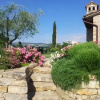 Отель Agriturismo La Torraccia, фото 3