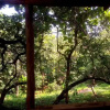 Отель Galaxy Jungle Huts, фото 8