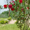 Отель Country House La Lungavita, фото 8