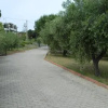 Отель Le Terrazze Residence, фото 5