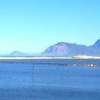 Отель Flamingo Lake, фото 2