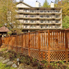Отель Tree Tops Resort, фото 24