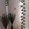 Отель Agorastos Athanasios Rooms, фото 10