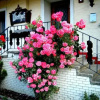 Отель Ridehouse, фото 1