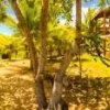 Отель Chalé Seychelles, фото 7