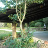 Отель B&B Corte Bezzetti, фото 9