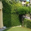 Отель Apartment Bougainvillea, фото 3
