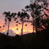 Отель Rancho do Pavão Charmoso Chalé, фото 6