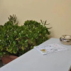 Отель Mini Loft Ninfa, фото 6