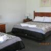 Отель The Vineyard Motel, фото 19