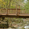 Отель Tree Tops Resort, фото 25